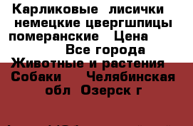 Карликовые “лисички“  немецкие цвергшпицы/померанские › Цена ­ 35 000 - Все города Животные и растения » Собаки   . Челябинская обл.,Озерск г.